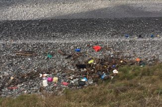 Extreme Beach Clean